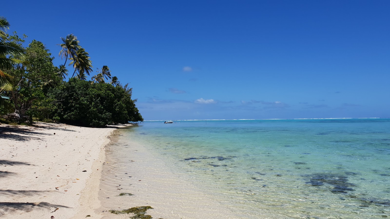 Photo de Avea Beach avec un rivage spacieux