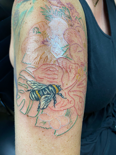 Explore little bird tattoo ideas, creative tattoo ideas in Warner Robins, available at Untold Pain Tattoo Studio