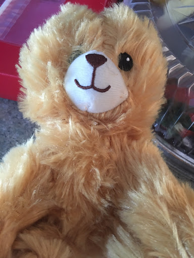 Gift Shop «Edible Arrangements», reviews and photos, 7239 Dempster St, Niles, IL 60714, USA