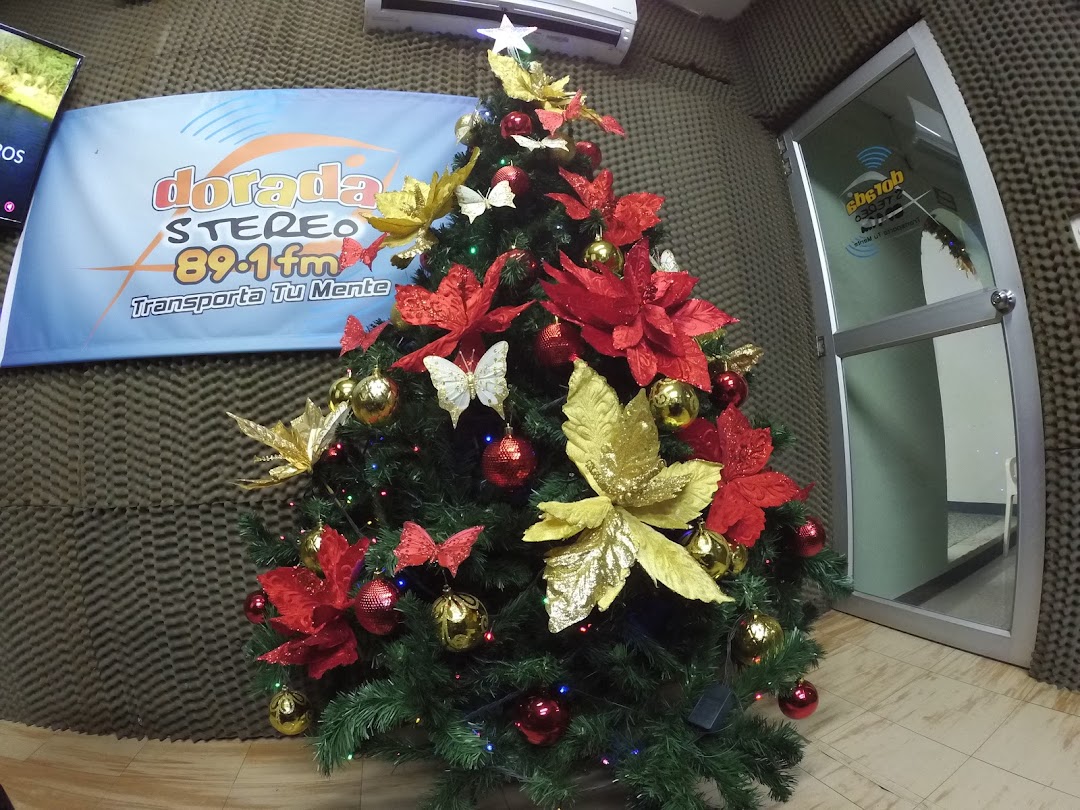 Dorada Stereo 89.1 F.M