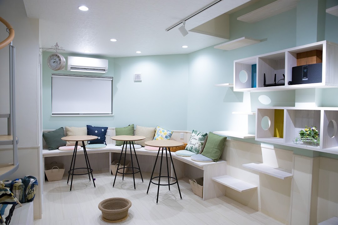 猫カフェ リプミィ Catcafe Lipmy 市内で足立区