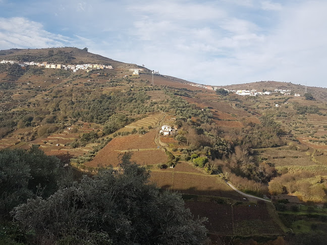 Avaliações doCafe Régua em Peso da Régua - Cafeteria