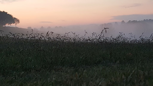 Golf Club «Tri-Cities Golf Club», reviews and photos, 2354 Feathers Chapel Rd, Blountville, TN 37617, USA