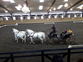 Escuela Clásica Lipizzana (Haras Tronador)