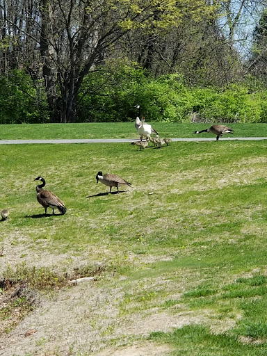 Golf Course «The Prairies Golf Club», reviews and photos, 300 Tricentennial Ct, Cahokia, IL 62206, USA