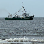 Photo n°1 de l'avis de Frank.r fait le 05/11/2022 à 18:04 sur le  Strandcafè Silbermöwe à Sankt Peter-Ording