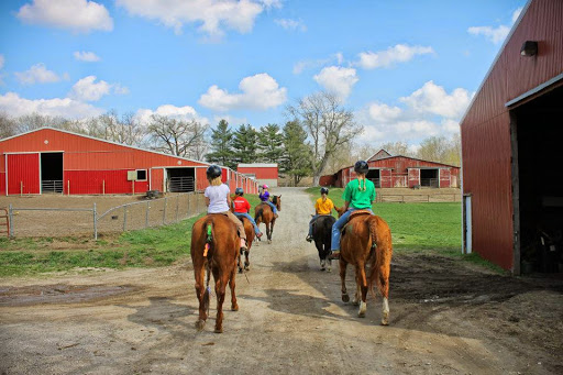 Sunset Trails Stables