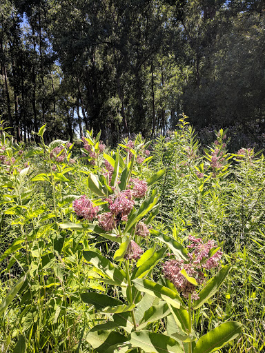 Nature Preserve «Times Beach Nature Preserve», reviews and photos, Coast Guard Station S Rd, Buffalo, NY 14203, USA