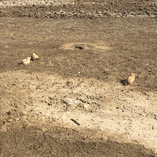 Park «Westminster City Park», reviews and photos, 10455 N Sheridan Blvd, Westminster, CO 80020, USA