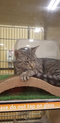 Pet Supply Store «PetSmart», reviews and photos, 3 McKenna Rd, Arden, NC 28704, USA