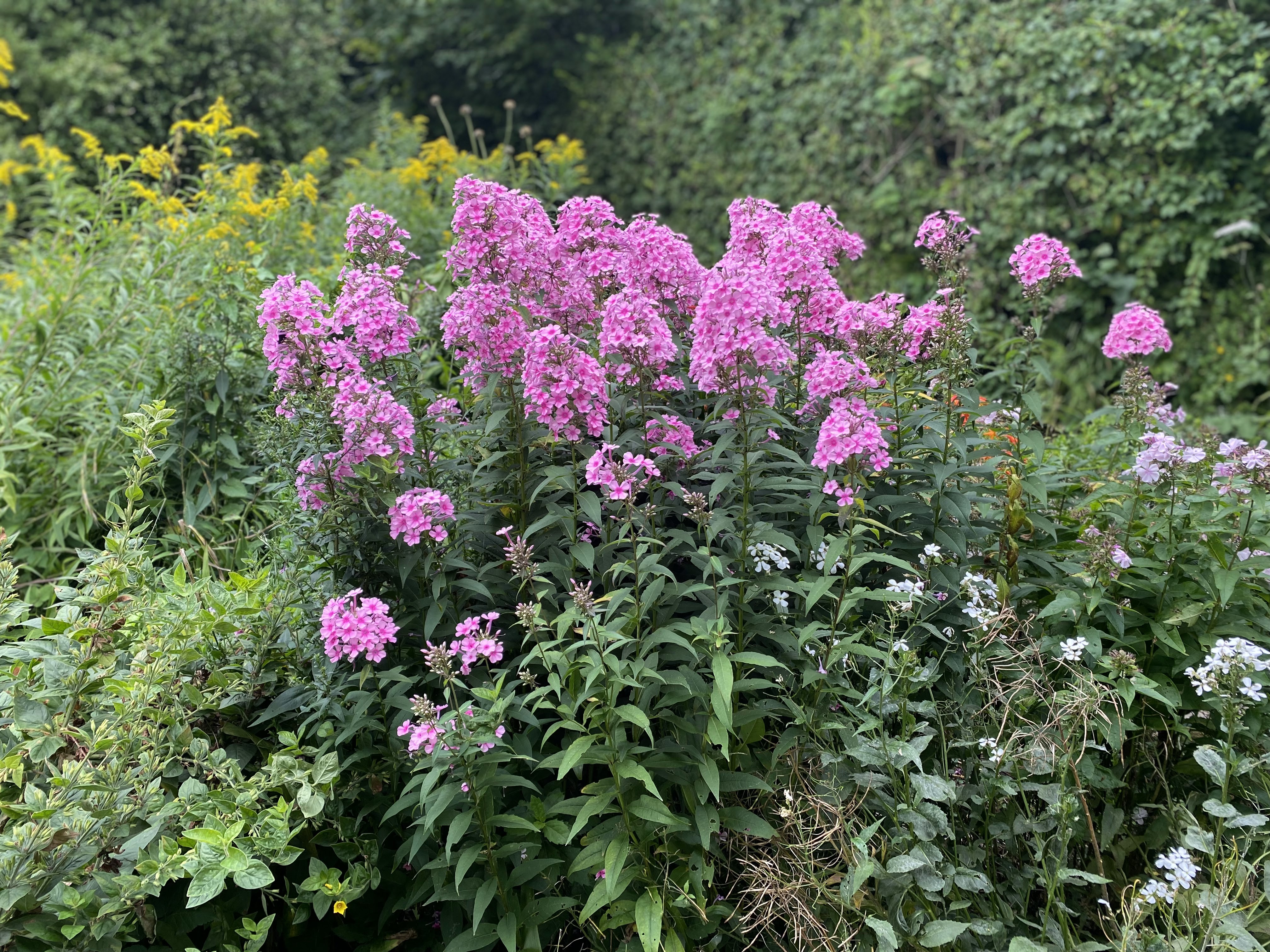 Photo n° 9 de l'avis de Mickael.e fait le 11/08/2023 à 05:54