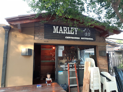 MARLEY CERVECERIA ARTESANAL BEER DELIVERY