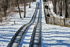 Pokagon State Park Toboggan Run image