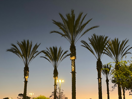 Shopping Mall «La Jolla Village Square», reviews and photos, 8657 Villa La Jolla Dr, La Jolla, CA 92037, USA