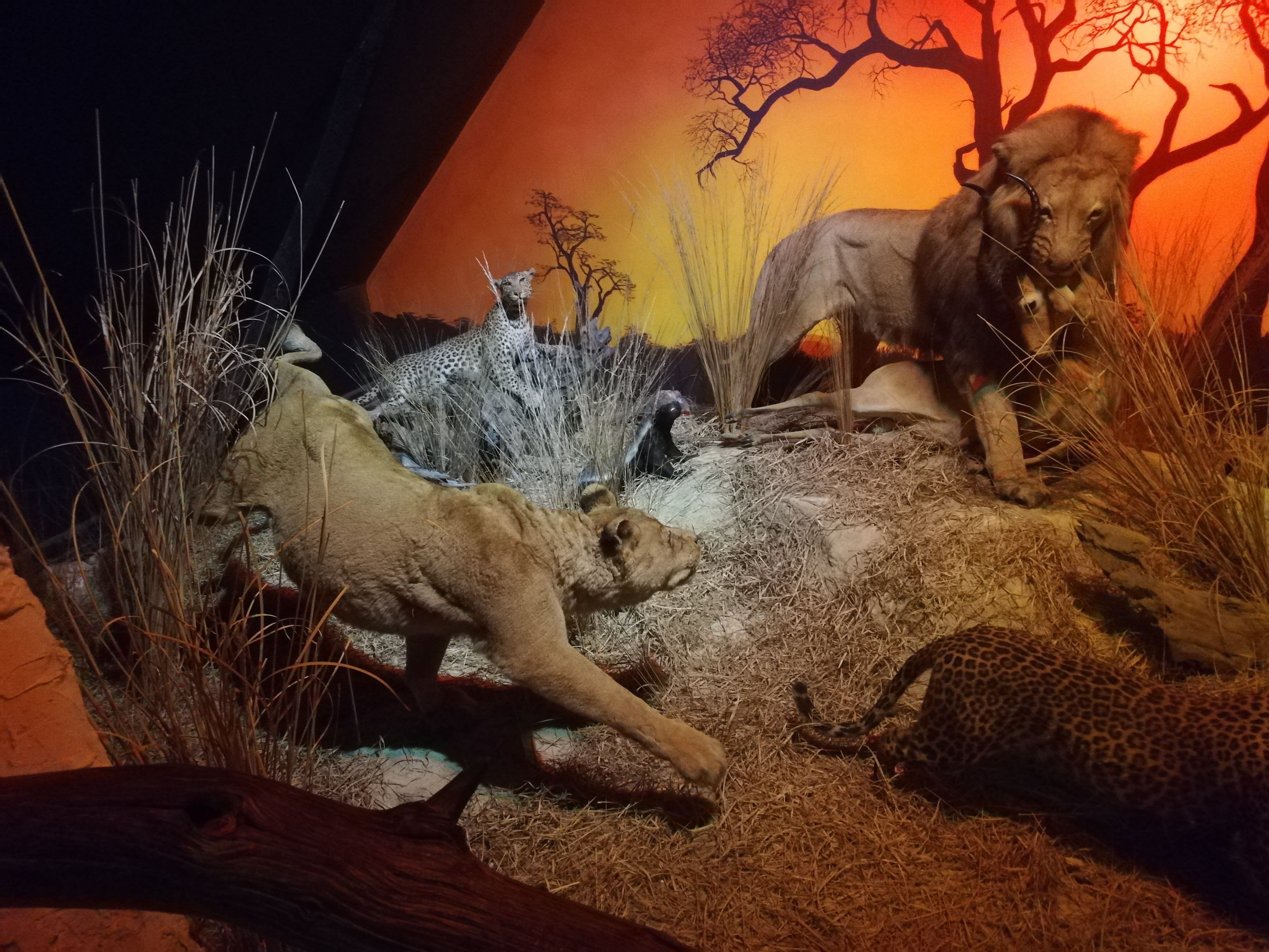 Photo n° 25 de l'avis de Soleil. fait le 20/08/2020 à 12:36