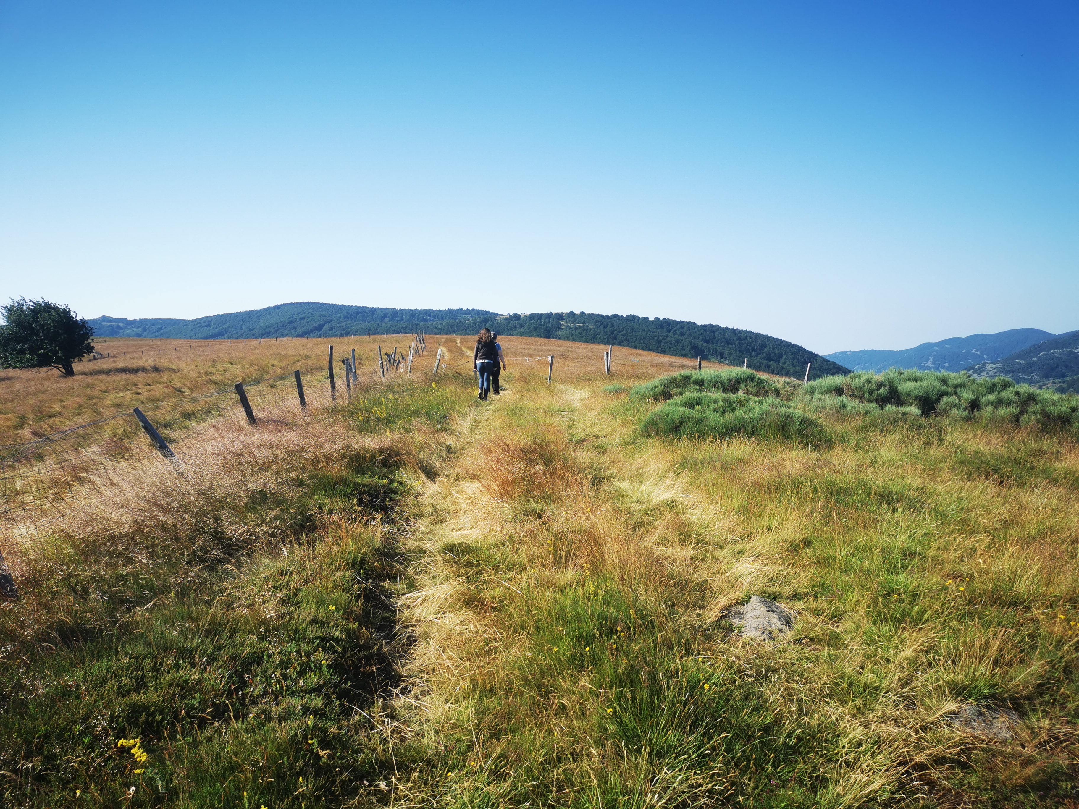 Photo n° 11 de l'avis de Seb. fait le 14/07/2023 à 04:55