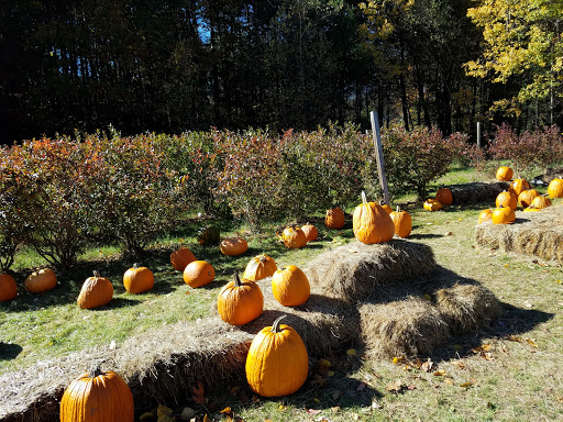 Carver Hill Orchard