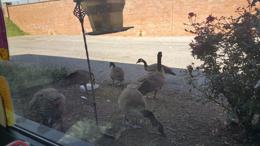 Beauty Salon «Hair It Is», reviews and photos, 22335 Exploration Dr # 1000, Lexington Park, MD 20653, USA