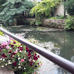 Photo n° 1 de l'avis de Le.o fait le 11/08/2019 à 09:53 pour Marguerite de Chablis à Chablis