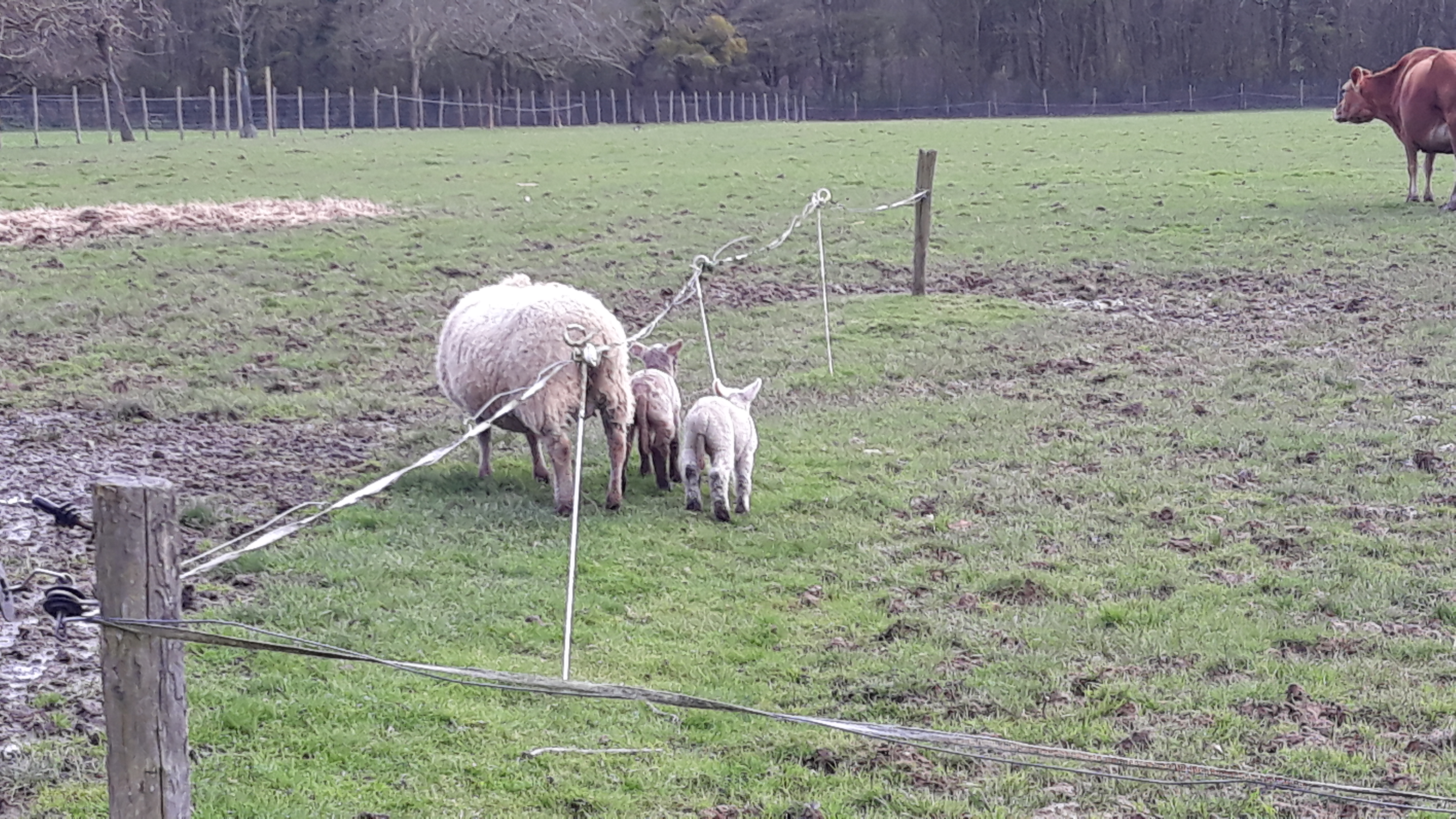 Photo n° 5 de l'avis de Maëva.r fait le 07/03/2020 à 15:52