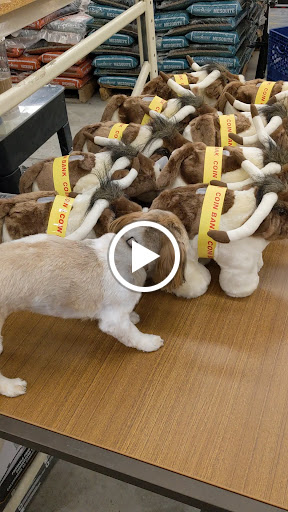 Farm Equipment Supplier «C-A-L Ranch Stores», reviews and photos, 2735 7800 S, West Jordan, UT 84088, USA