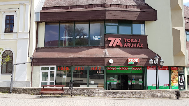 Tokaj, Kossuth tér 3, 3910