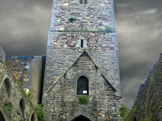 Waterford Greyfriars (ruined friary & church)