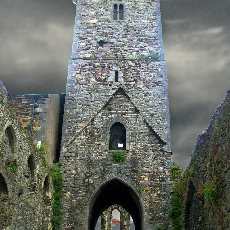 Waterford Greyfriars (ruined friary & church)