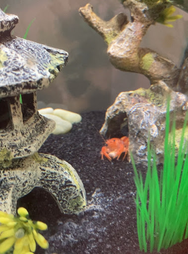 Pet Store «National Pet Center», reviews and photos, 726 Reservoir Ave, Cranston, RI 02910, USA