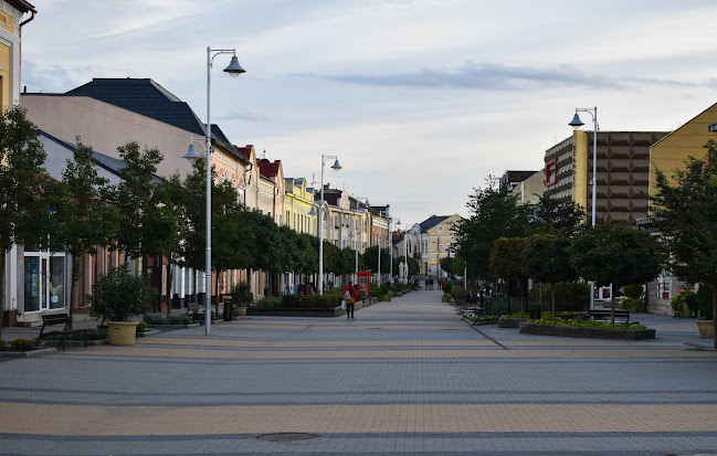 Kisvárda Önkormányzata - Kisvárda