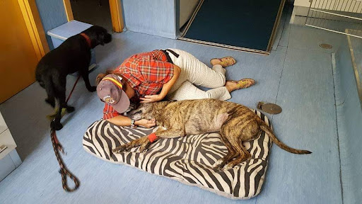 Central Veterinary Ramon Gomez de La Serna S.l.c. en Madrid