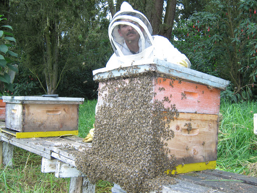 El Jardín de las abejas