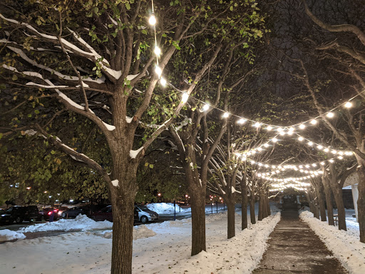 Museum «Memorial Art Gallery», reviews and photos, 500 University Ave, Rochester, NY 14607, USA