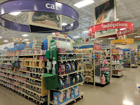 PetSmart - Photo 3 - Car repair in Austin, TX, Austin