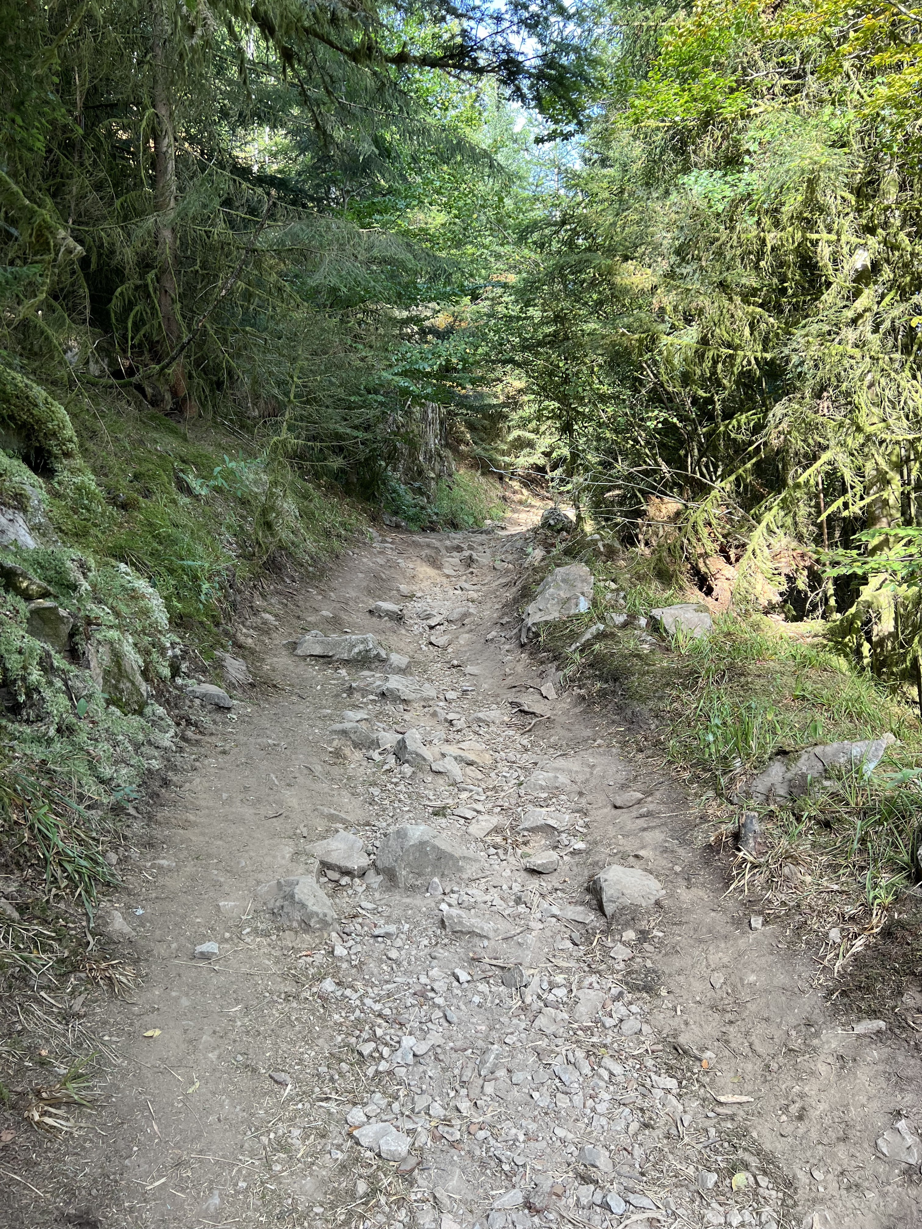 Photo n° 2 de l'avis de Mathieu.V fait le 14/08/2022 à 18:48