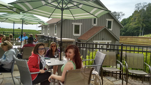 Winery «Dablon Vineyards & Winery», reviews and photos, 111 W Shawnee Rd, Baroda, MI 49101, USA