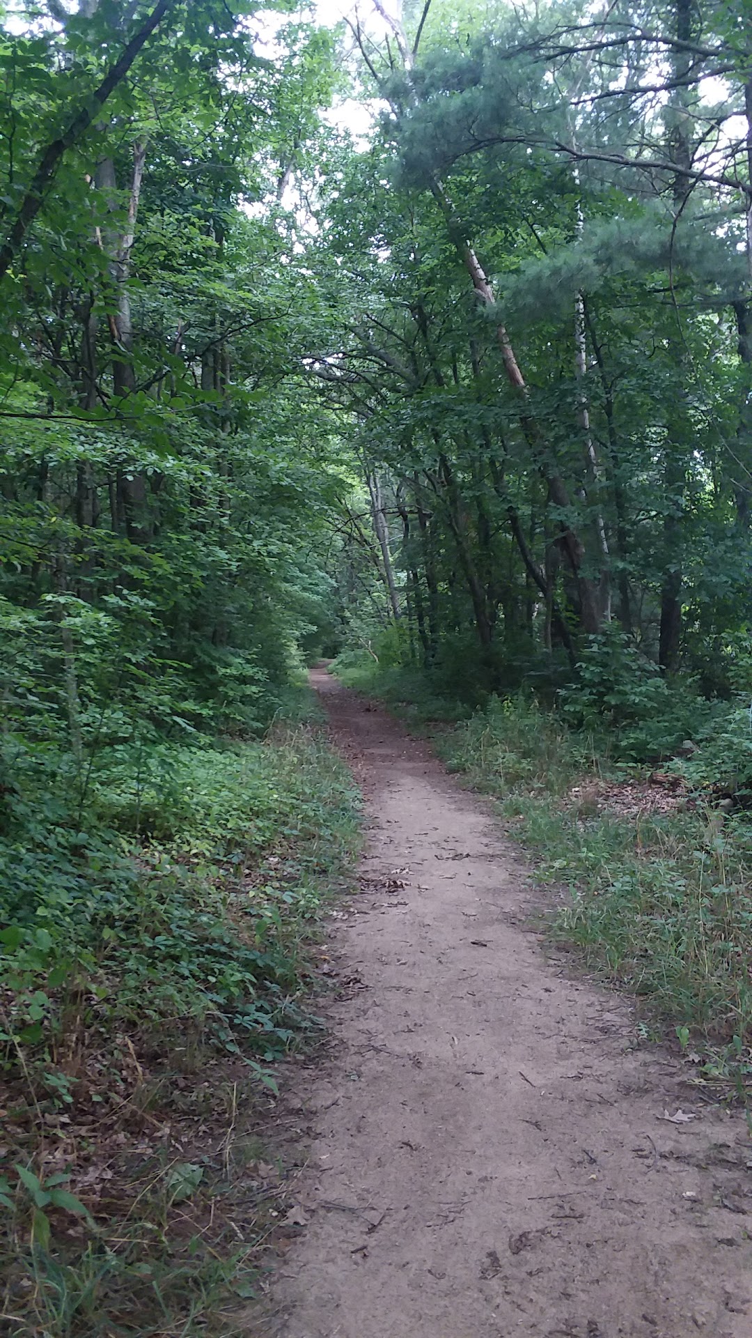 Grevers Nature Center