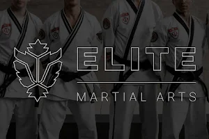 Elite Artes Marciais - Santa Cruz do Sul image