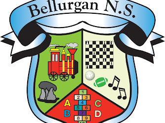 Bellurgan National School