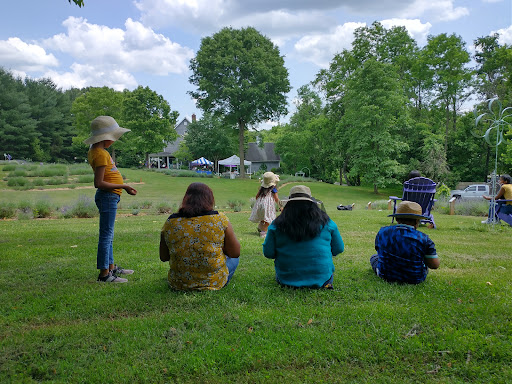 Farm «Blooming Hill Lavender Farm», reviews and photos, 19929 Telegraph Springs Rd, Purcellville, VA 20132, USA
