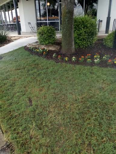 Coffee Shop «Local Coffee», reviews and photos, 24175 I-10 #110, San Antonio, TX 78257, USA