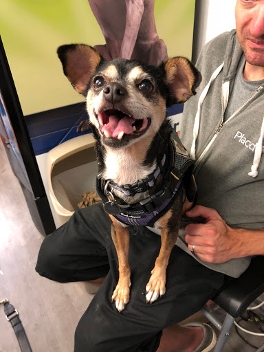 Pet Supply Store «Sonoma Pet and Aquatics», reviews and photos, 201 W Napa St #7, Sonoma, CA 95476, USA