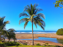 Corozalito Beach'in fotoğrafı vahşi alan