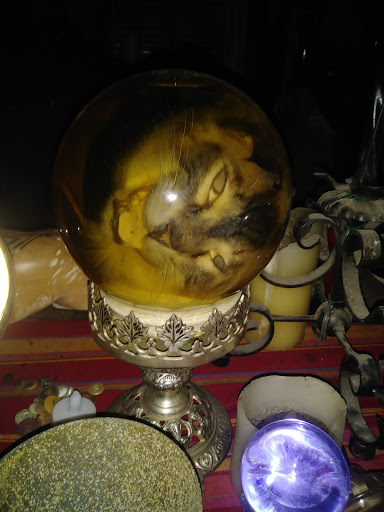 Event Venue «Moviesets», reviews and photos, 400 Garrett Rd, Slidell, LA 70458, USA