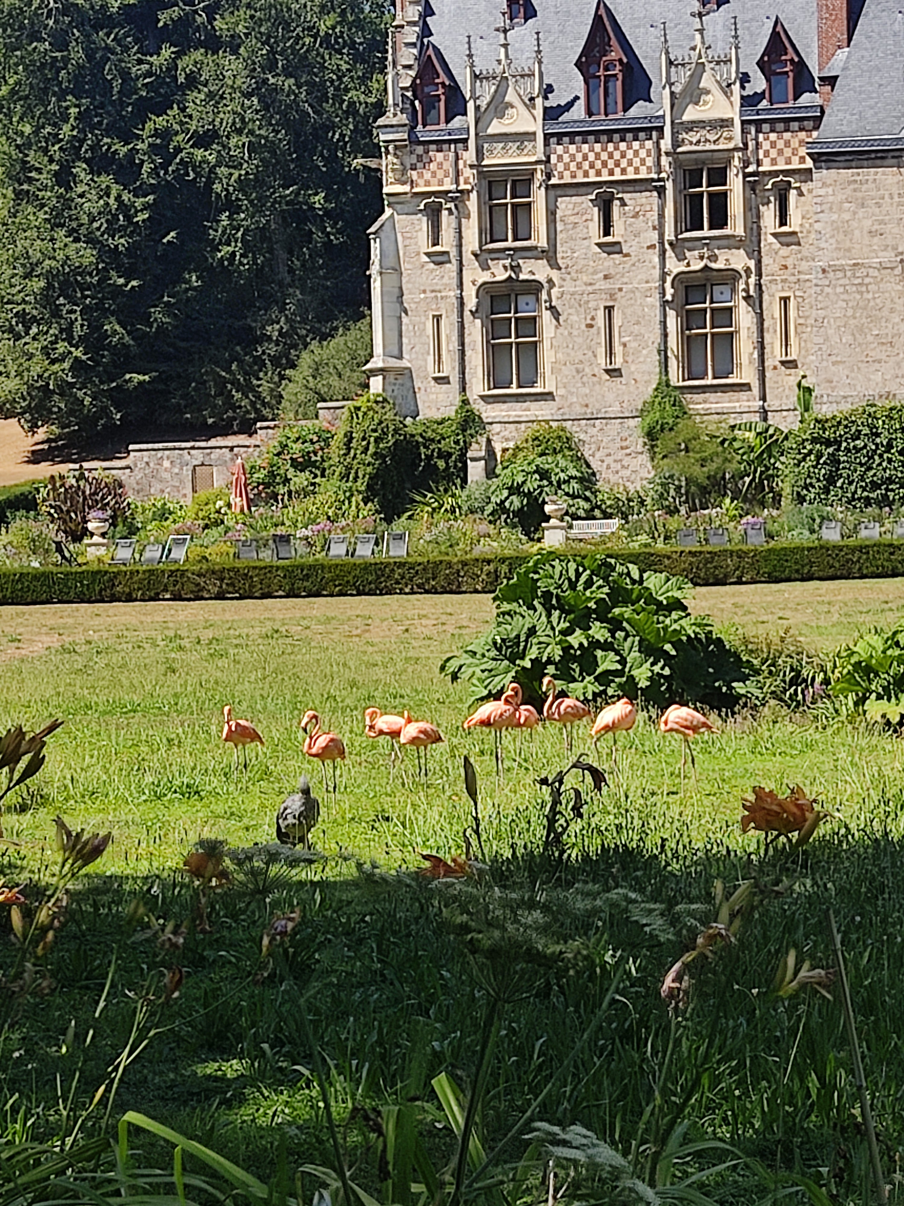 Photo n° 1 de l'avis de Clémentine.o fait le 08/08/2022 à 15:48
