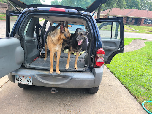 Pampered Pets PlayStation And Boarding