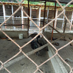 Photo n°7 de l'avis de Maria.r fait le 07/11/2021 à 19:54 sur le  Ristorante Il Cerqueto à Marzano di Nola