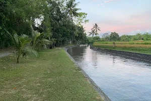 DAM Tanah Putih image