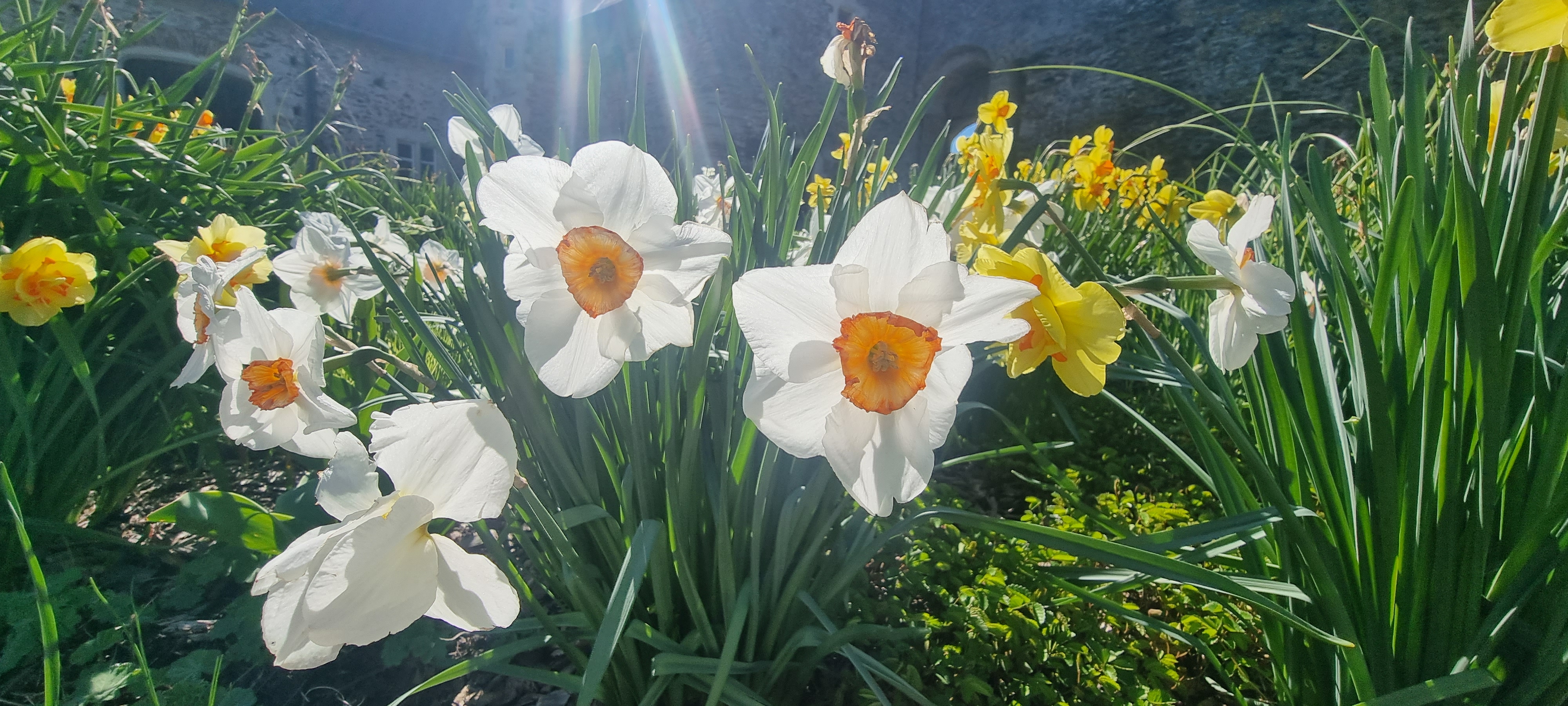 Photo n° 9 de l'avis de sebastien.o fait le 07/04/2023 à 19:03