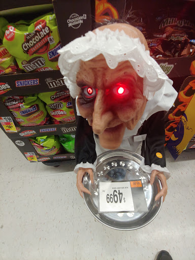 Pet Supply Store «Pet Supplies Plus», reviews and photos, 74-17 Grand Ave, Maspeth, NY 11378, USA